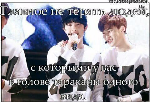 af54fc4d43fb4cc8c7888f36680b2bab.avif