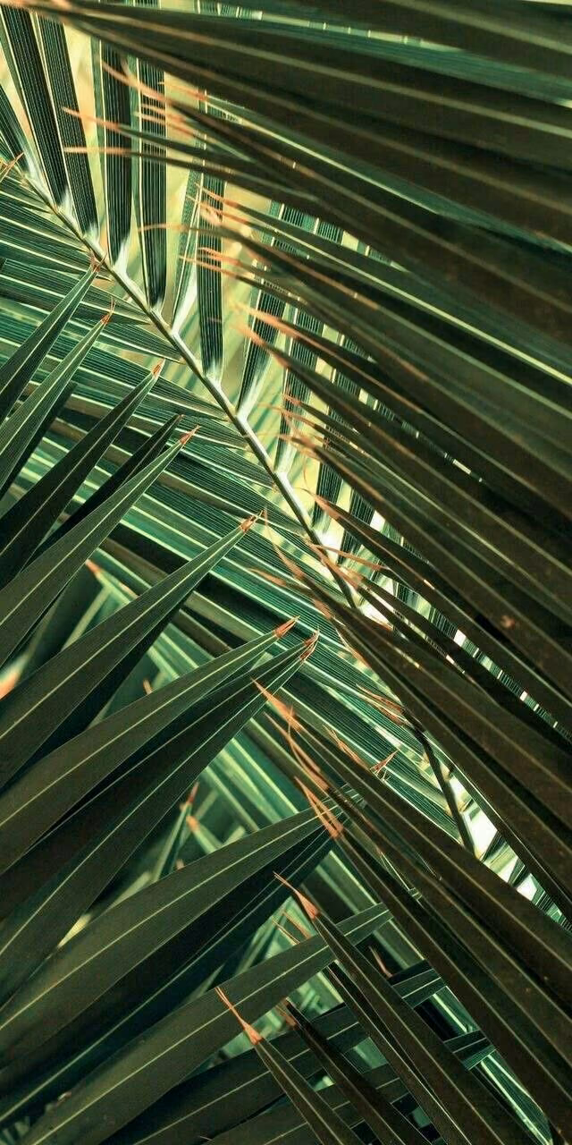 af60e102a77c979aa63d7c8efdb67ecb.avif