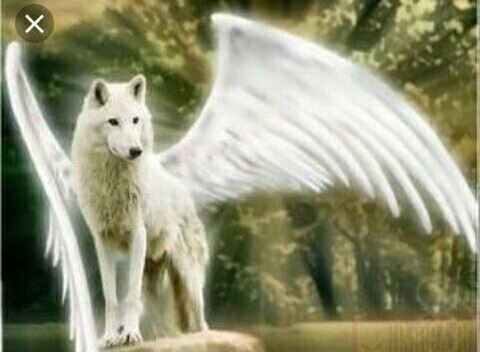 af695075d894dde8600242f38247f83e.avif