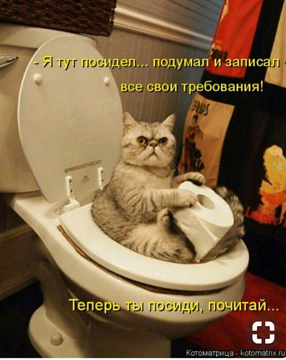 af997f4ae093f391ba995757fbeeff1a.jpg