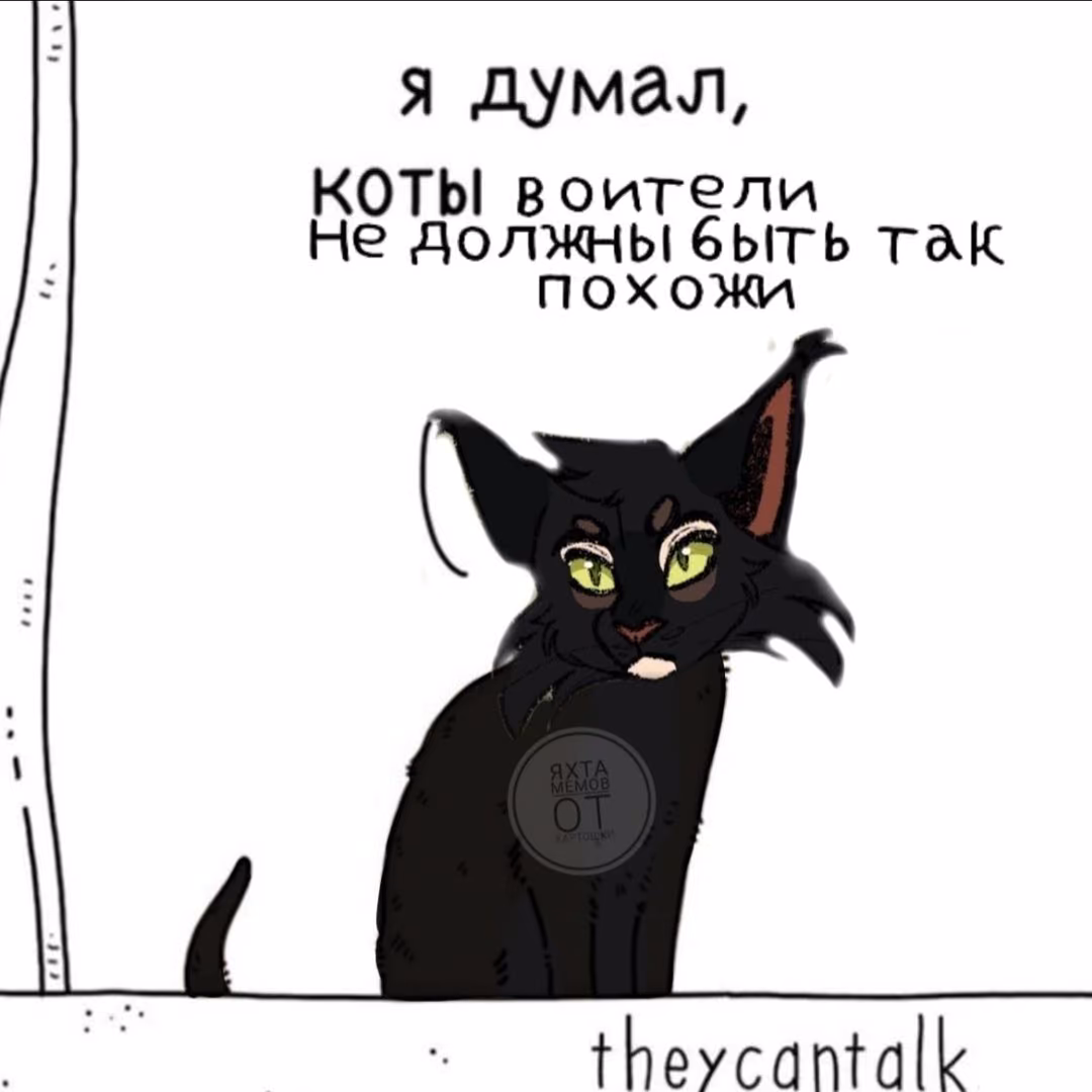 af9c1d9ef18cbb8e680c8d8b5c149215.avif