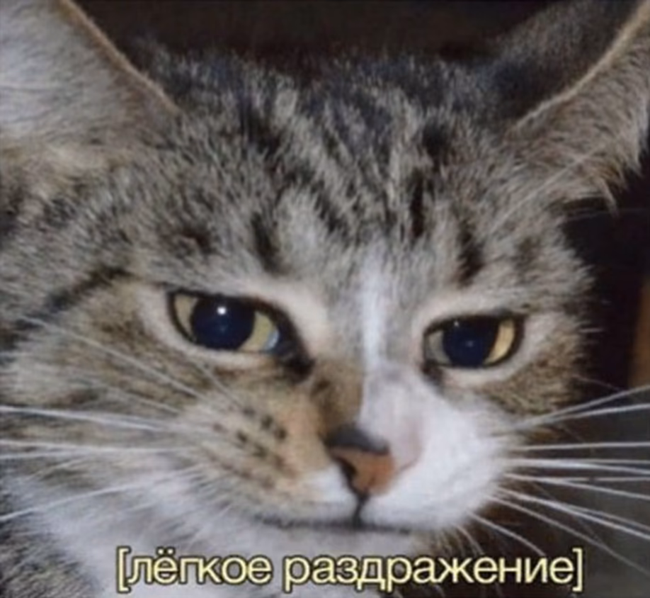 afc36c0f7ed7b1557b599d79991e3d29.avif