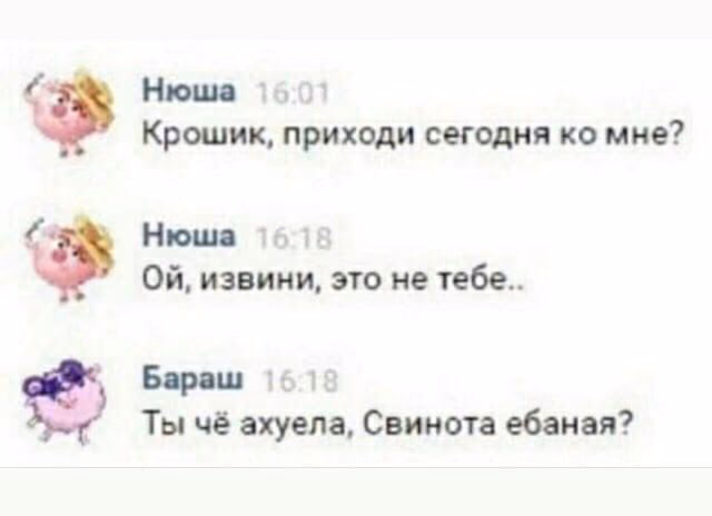 afc667bc52ef7151cb1a67bb8ba41e51.jpg