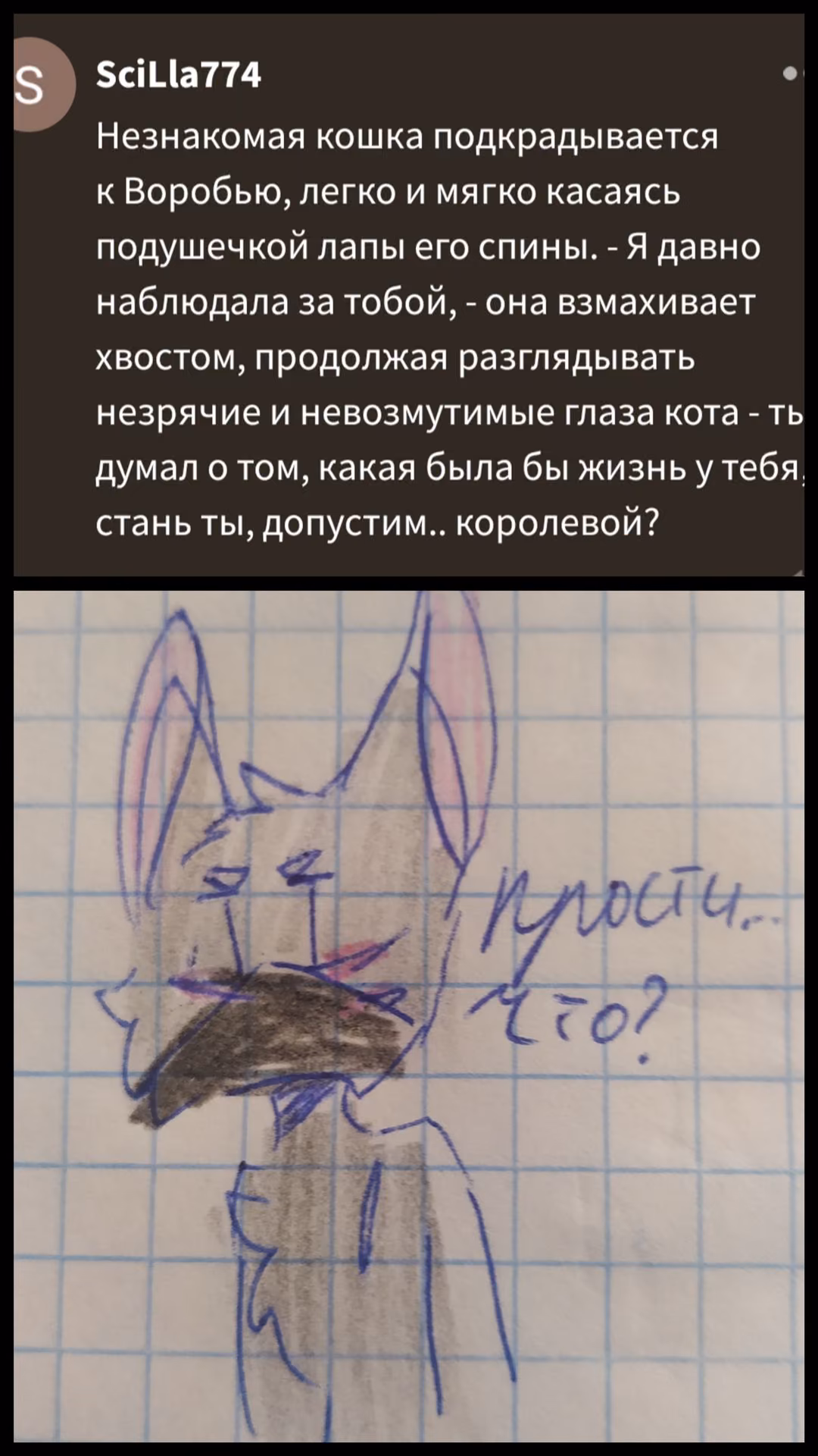 afdac30b9a5d3acdb8d8df305089b903.avif