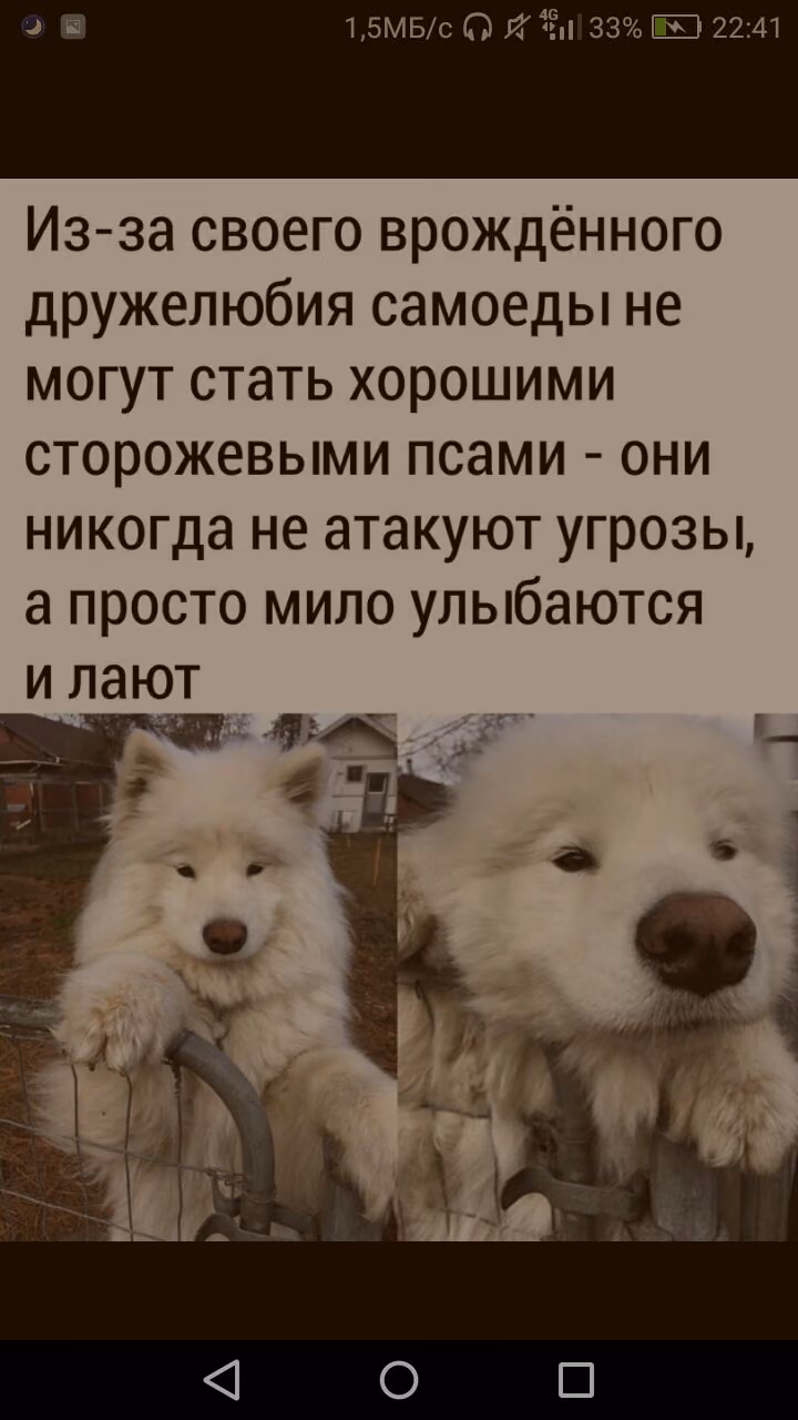 afe042d4b0600325ce8ece94821cc744.avif