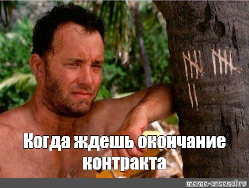 afe88163db459c2fc2ae0f10f63b67f4.jpg