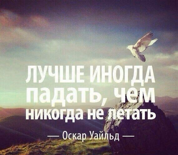 afecb3717c83c9aaef87f7272e317cec.jpg