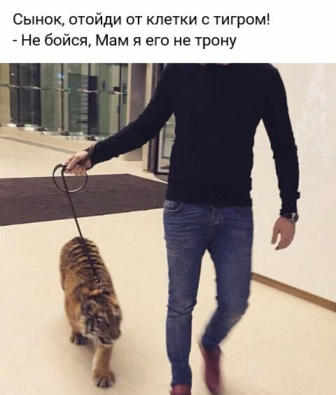 affdd74dba04fd1b0d30e13aac66b7e0.jpg