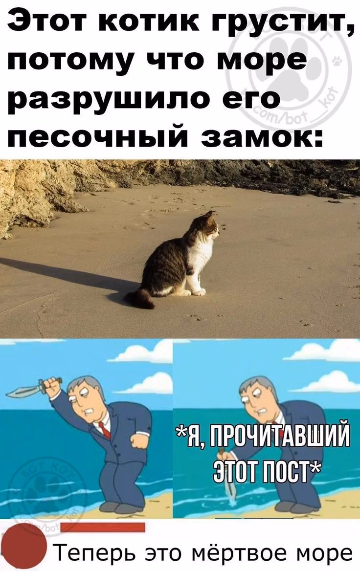 b0027127fdd964f2958bf9327647000d.avif