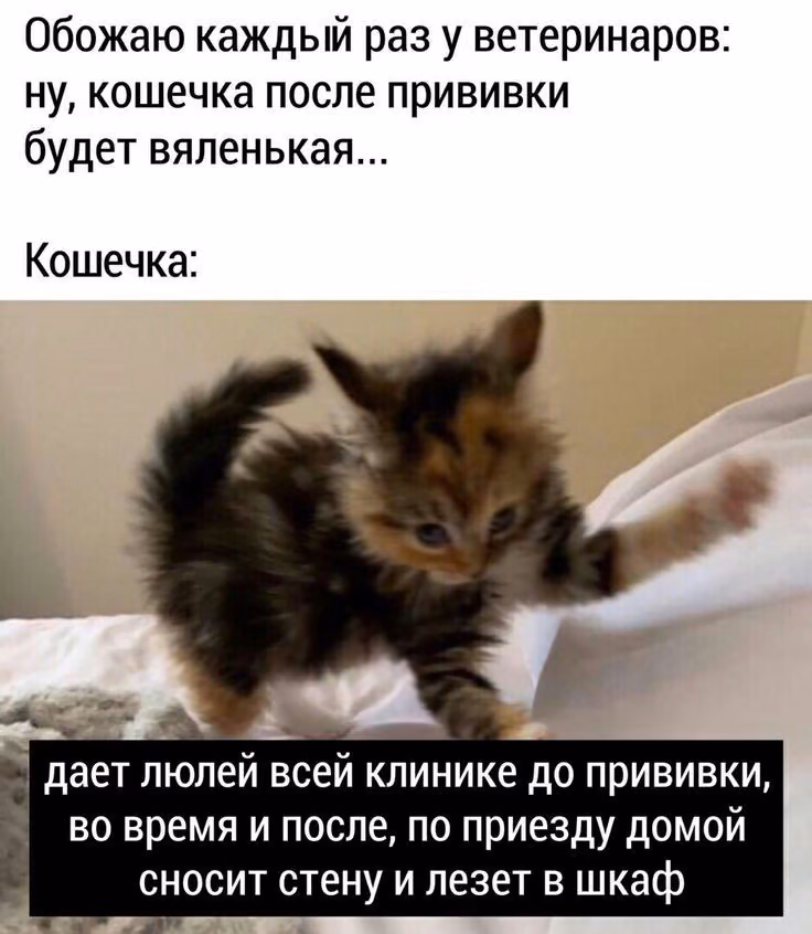 b0048f4d2a45a9d5b4d984a3c851dd5c.avif