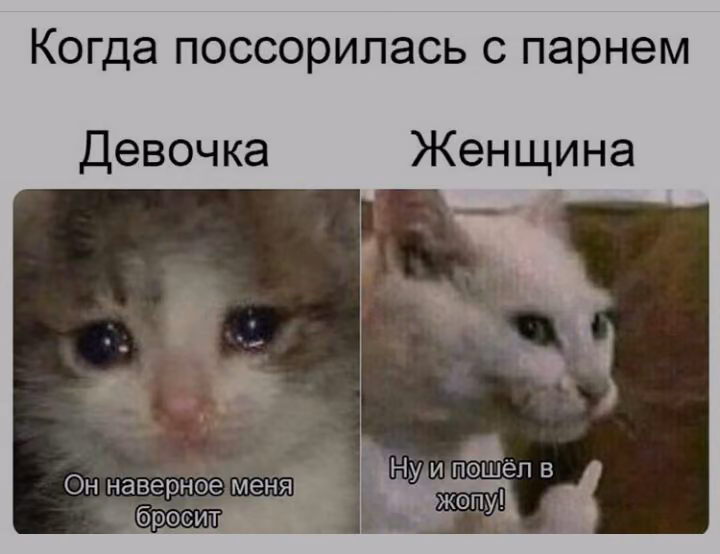 b02c648224eb02c9473d961d4f186c90.jpg