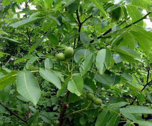 b03812ebd6527efc68d23aaf5cff4c02.avif