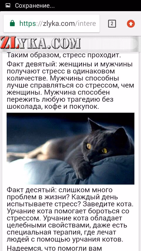 b03aaa3e0fb3445d2a264c30b1c445fb.jpg