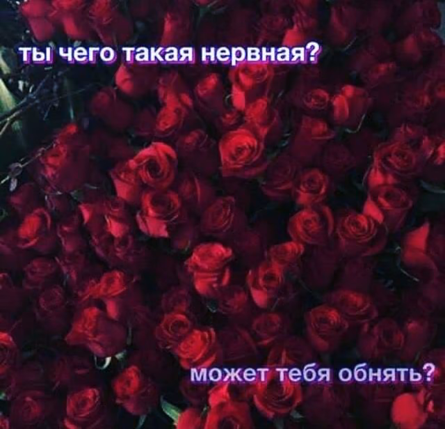 b054dd849da2eda257318f4e200f7ae2.avif
