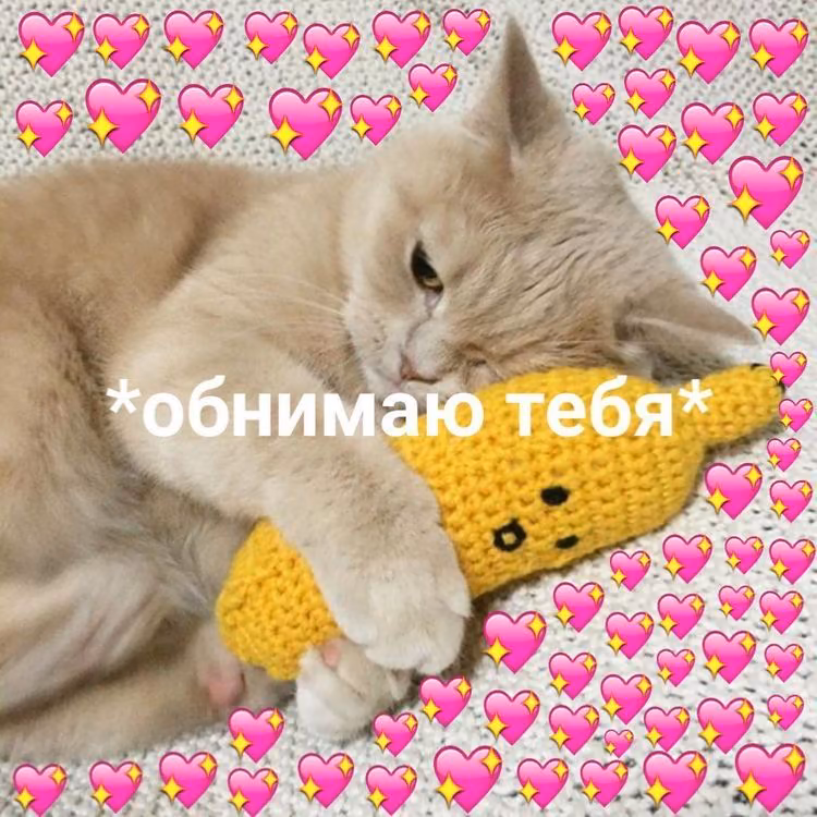 b057e3deb3437b9943cce3a2ad2ad94a.avif