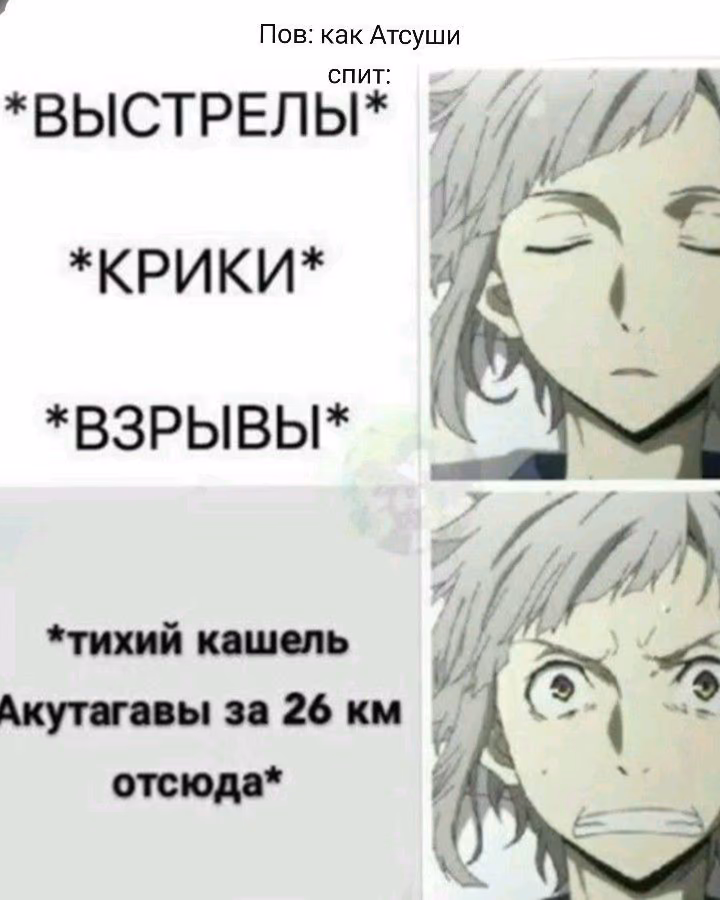 b0618739f64367bb19c7239a7b1543e0.avif