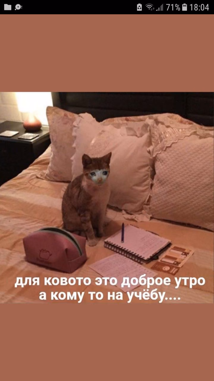b06869e997f6ea4ea0b92fd4ddcbe516.avif