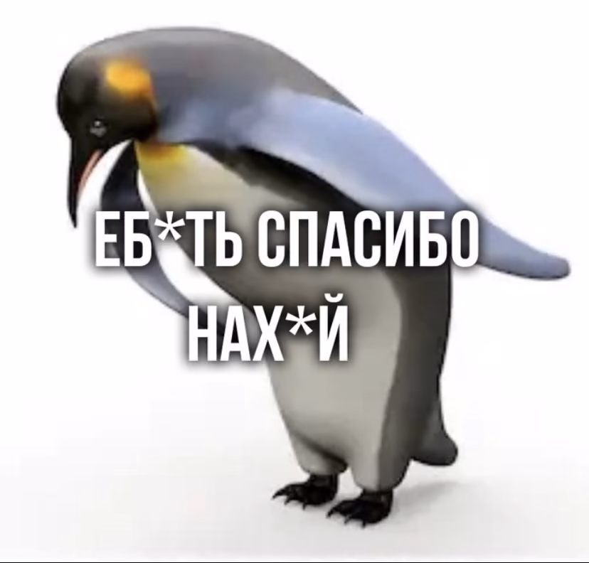 b07c6d5e4916e5a9a5638be8d91c16a2.jpg