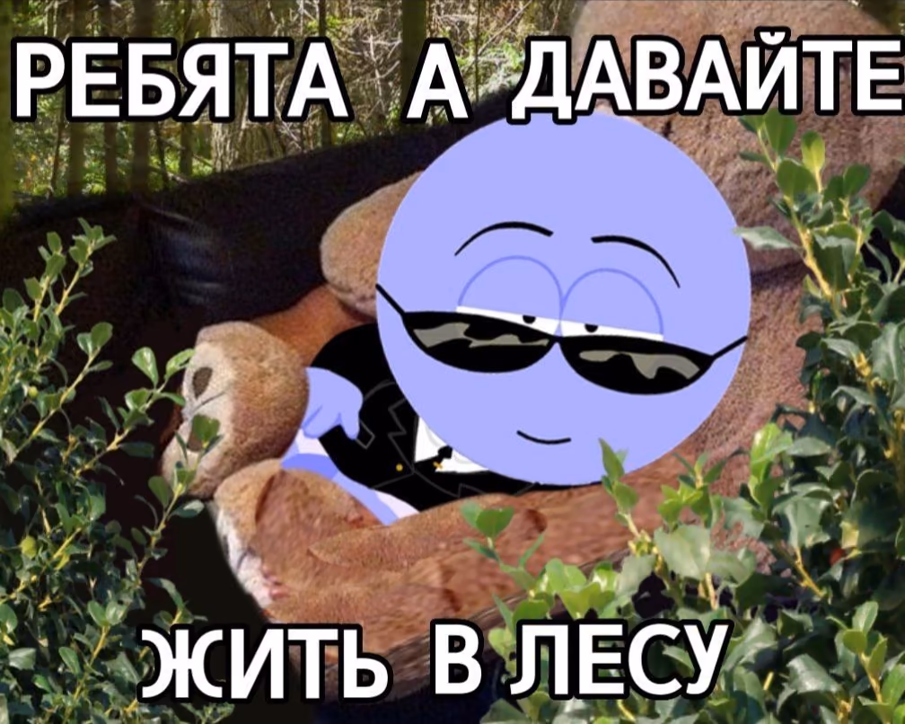 b08497327ed66cba103446b809445413.avif