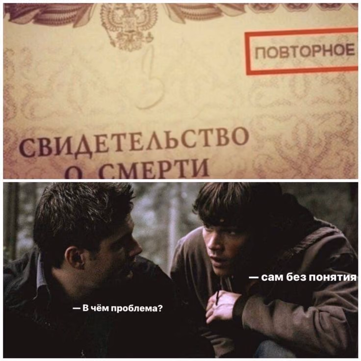 b0938f25fdfff6c8bfdbc0190b2dbc9c.avif