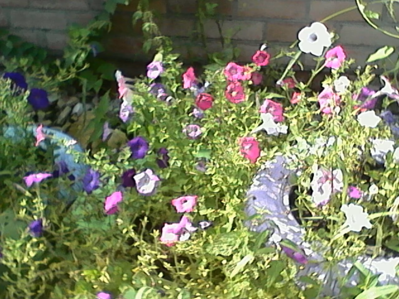 b0a654879daf2ed705dbc2dcaf19807e.jpg