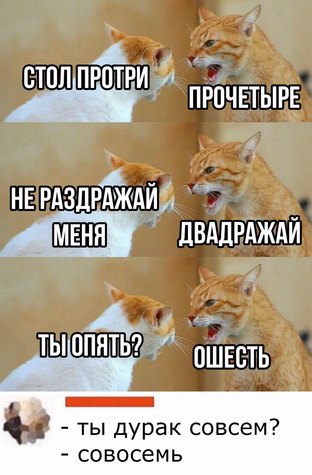 b0a8e1974d3ca519e4a84e7a7cc77cab.jpg