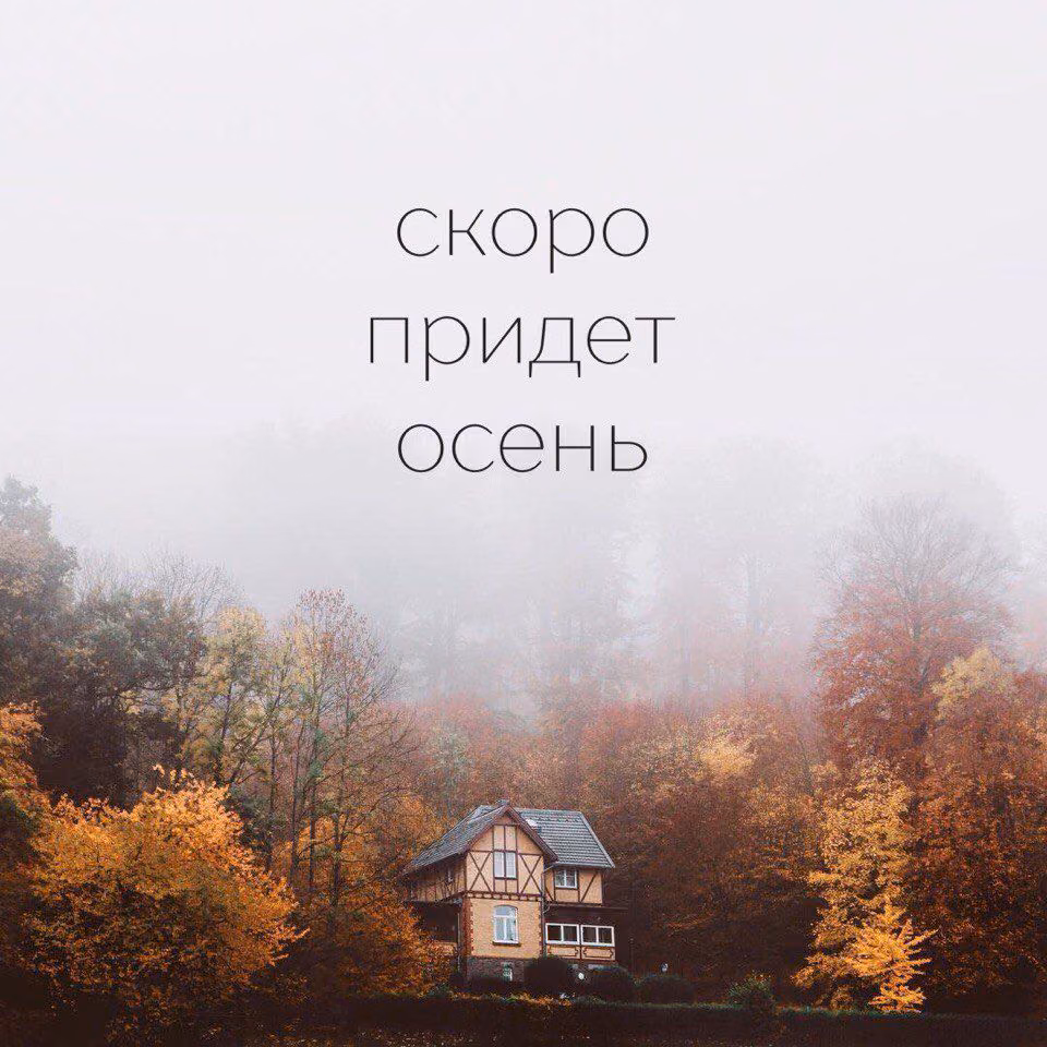 b0ad292ae11f7be23b3ba72ecc241752.avif
