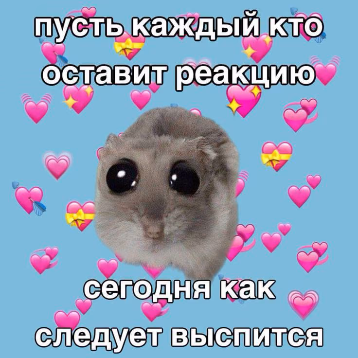 b0c5fea27dada8c6500b81777a2ea5a2.jpg