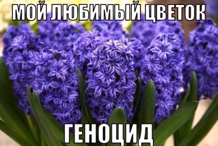b0cbc48eae9073183cb9bdbd85fb484a.jpg