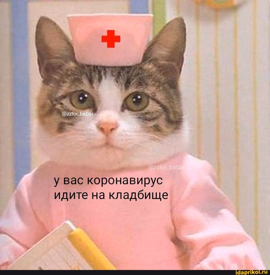 b0dd1593895d1591f732d1d3784a121e.avif