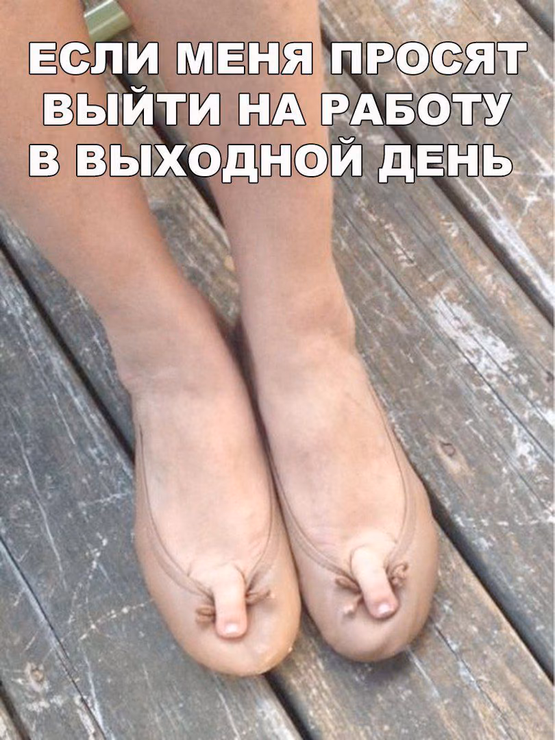 b0ec4e2722833287522f598f34cf1486.avif