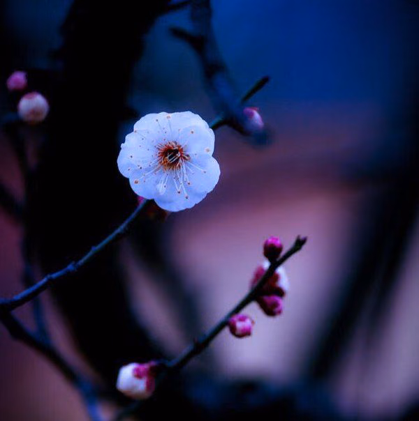 b0f2cad2787d5dae7b6d49bf0eea05c1.jpg