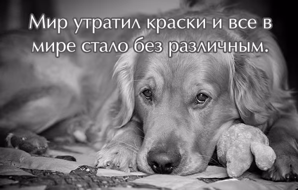 b0fb8f18d150fd68148ea7b0c9bcb864.jpg