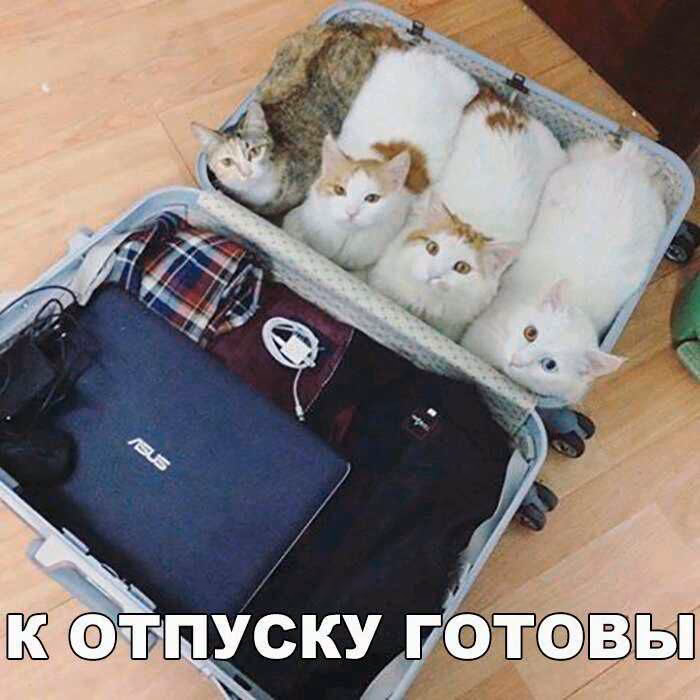 b110fb7c85b4cf80837016fd82a3e5e1.avif