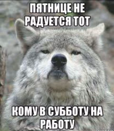 b1442ff4e7224eb5c4a89ca224a3048f.jpg