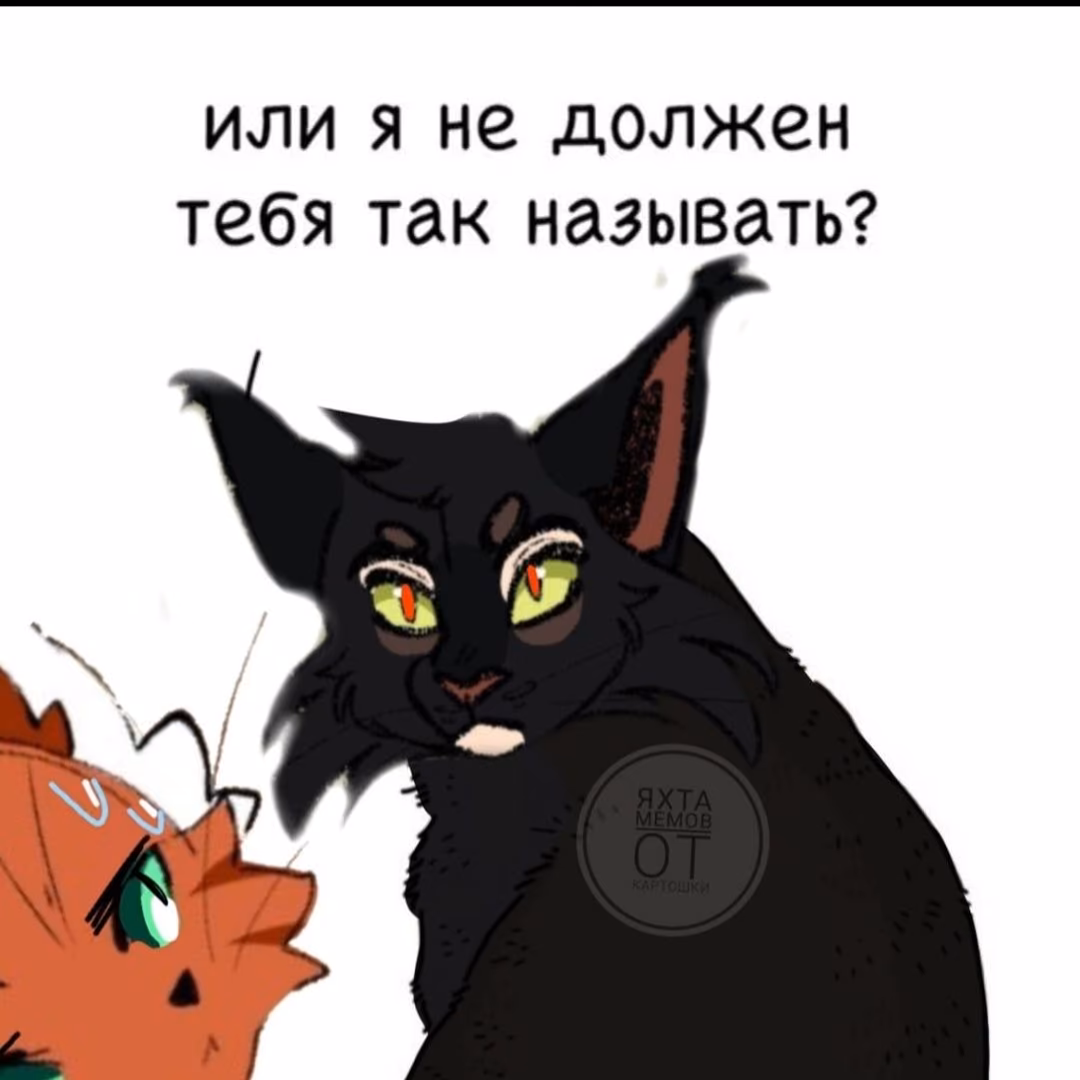 b149a95cce4bf1ab7cedf1e004d17932.avif