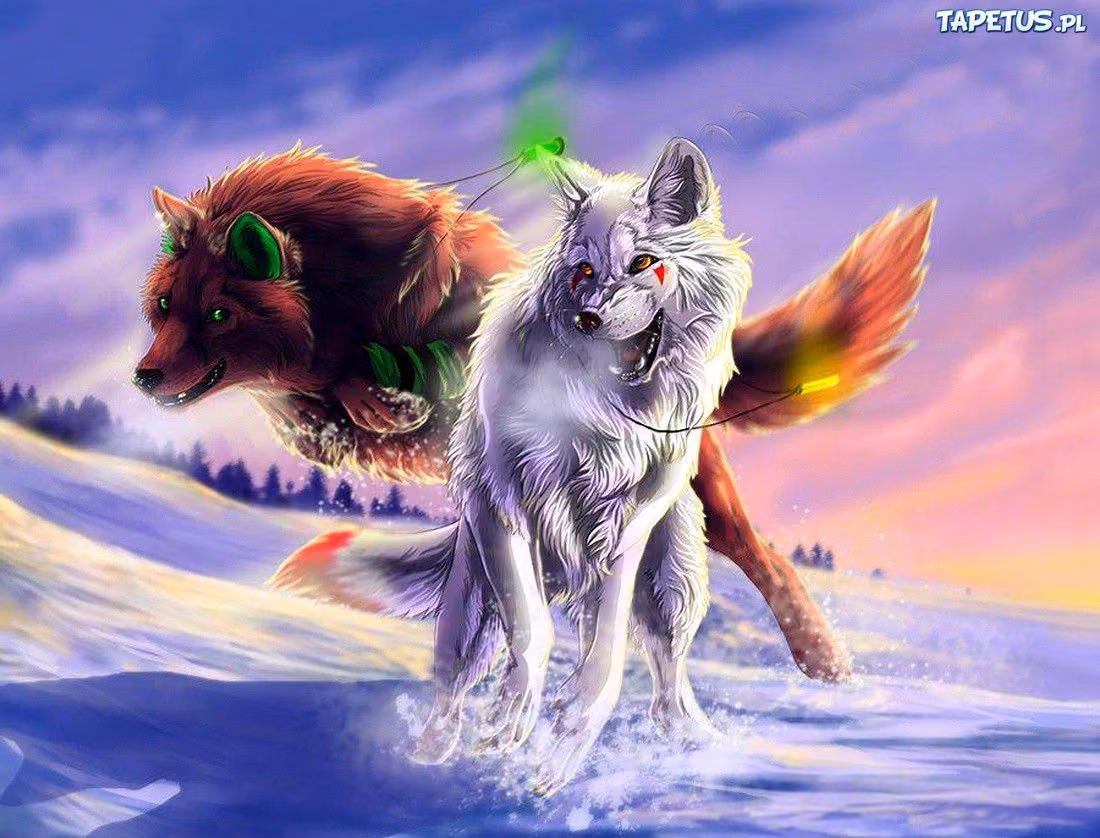 b16a8ab9a2d8a94e9c9cbdd8b0d3cb88.jpg
