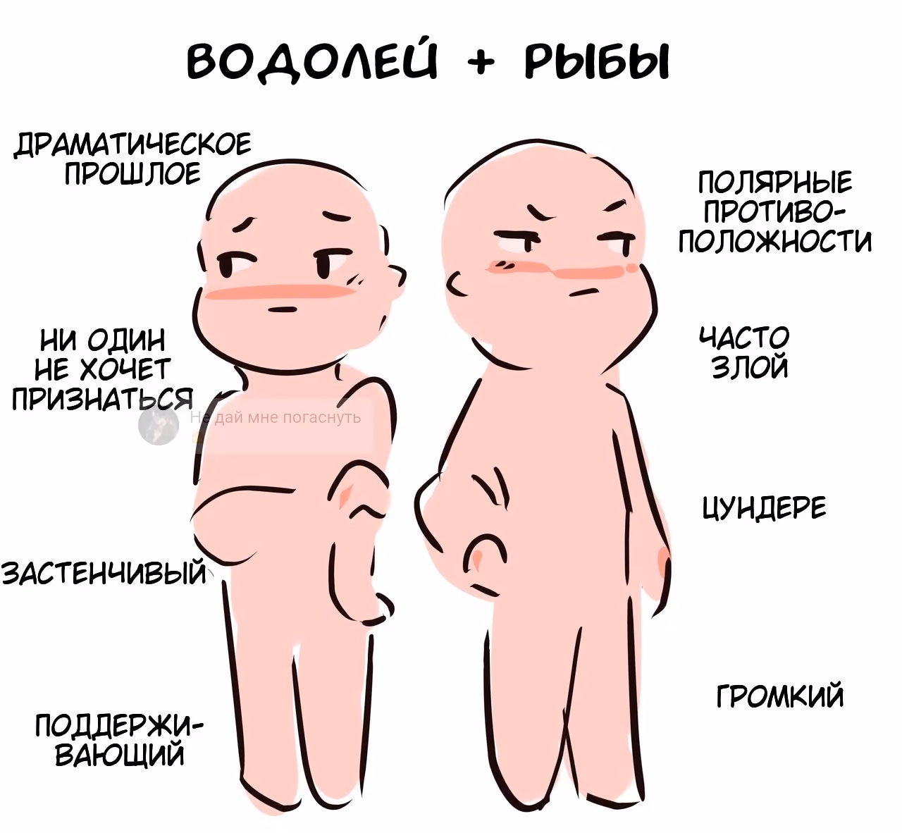 b1827cfcfe8e15437bbdee84be00bb15.avif