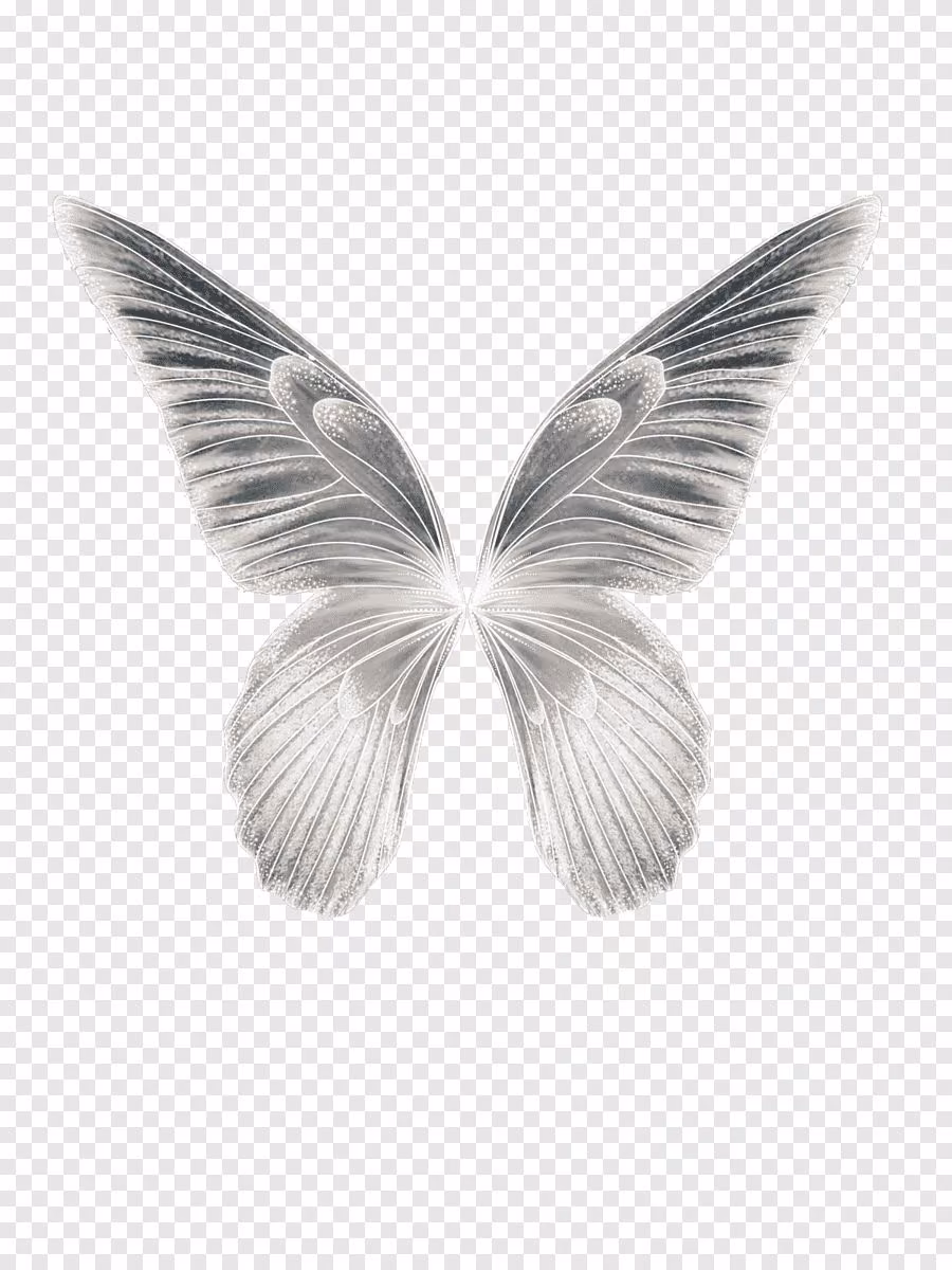 5e5ca8775435c1d74eb2bbb51308c78c.jpg