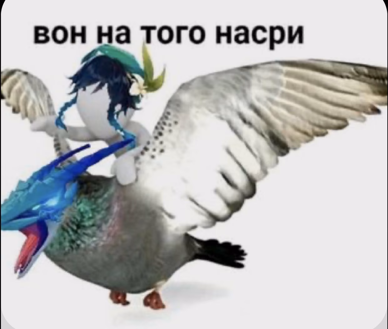 b1a1a241cd9905d254ff03f808a67d7b.jpg