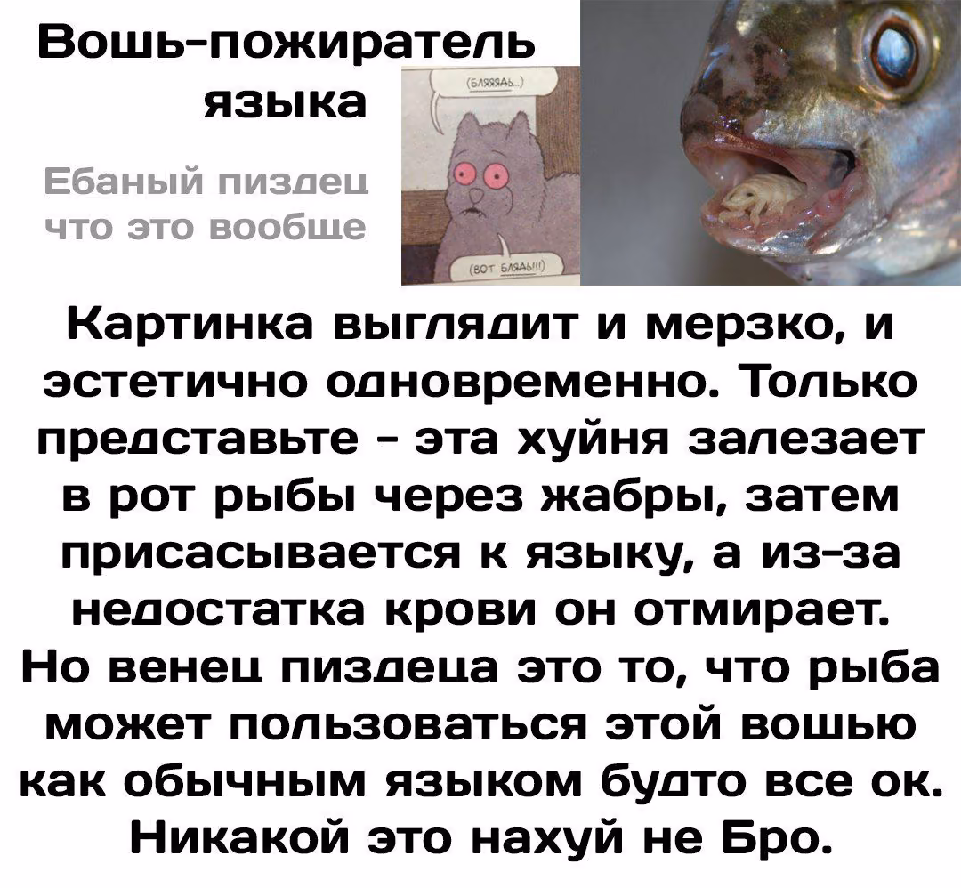 b1a4a34ece9c71b5f17a1313141195d0.jpg