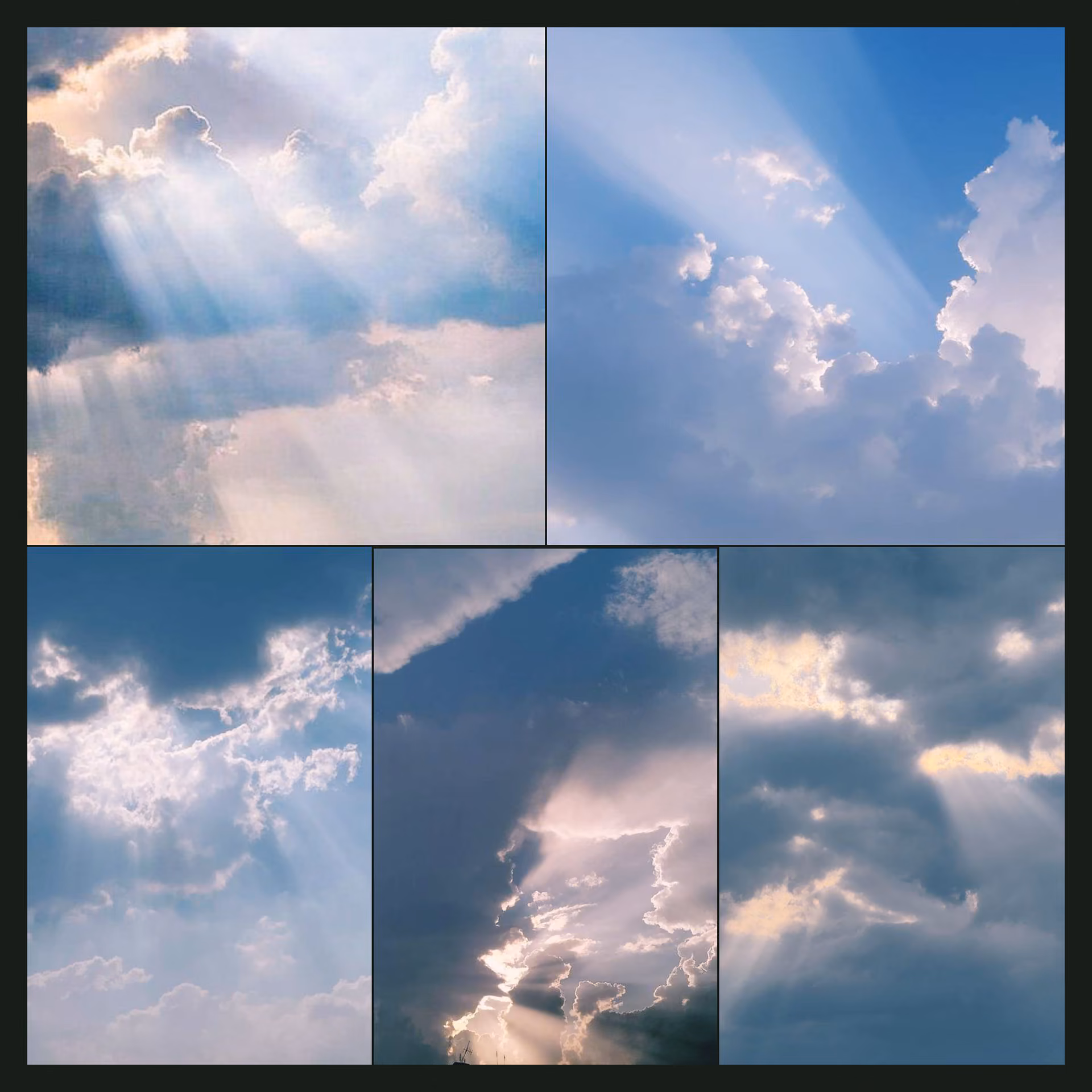 b1b3893a025d901726684a24c0305ee5.avif