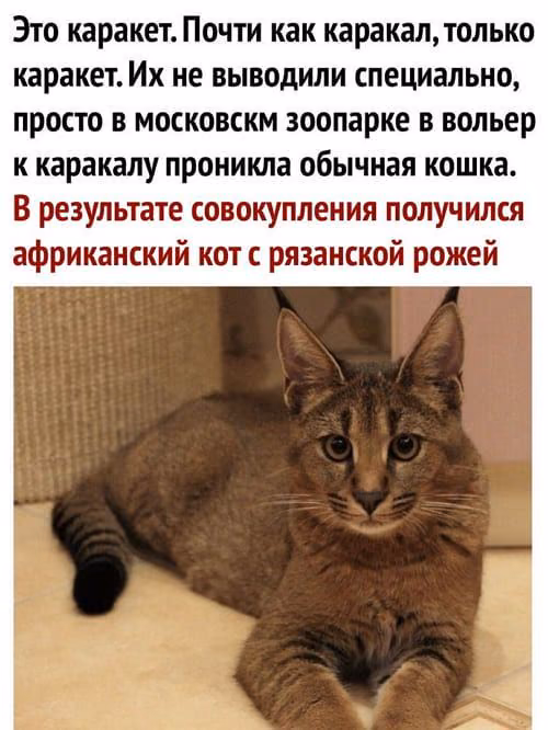 b1b5b79089b91f483e82e278c4bb7bfe.jpg