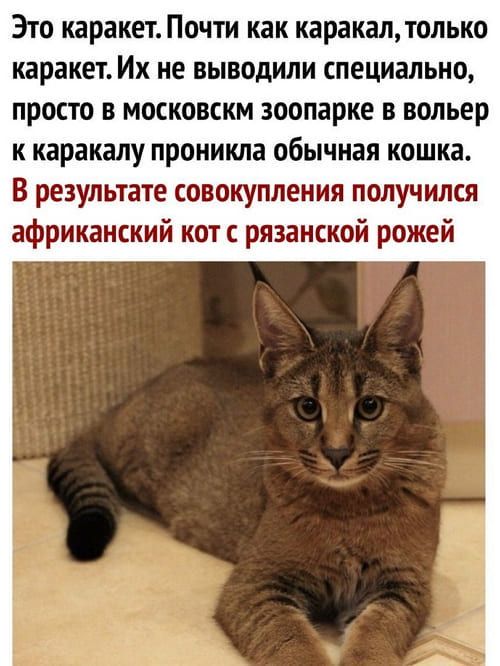 b1b5b79089b91f483e82e278c4bb7bfe.jpg