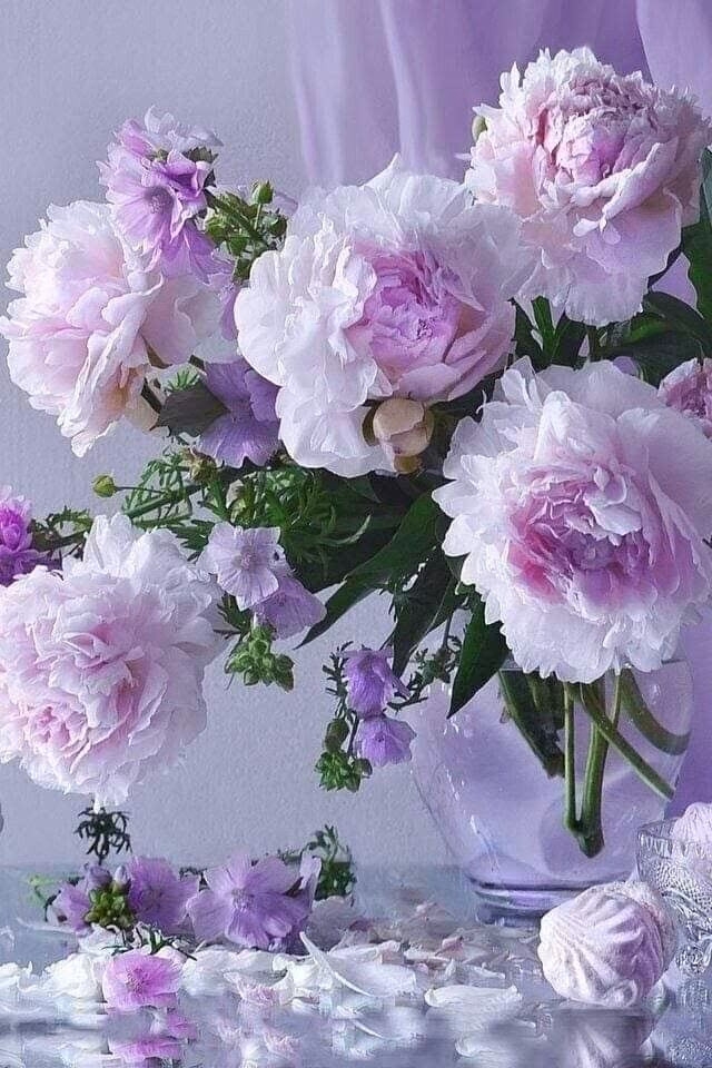 b1d83a92d3f5258ca90c15f5f79d5d61.jpg