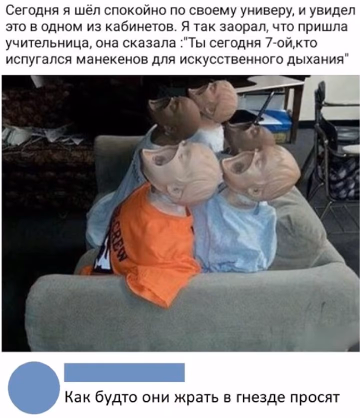 b1dfcb1f1ce4497e05558a5e2741e194.avif