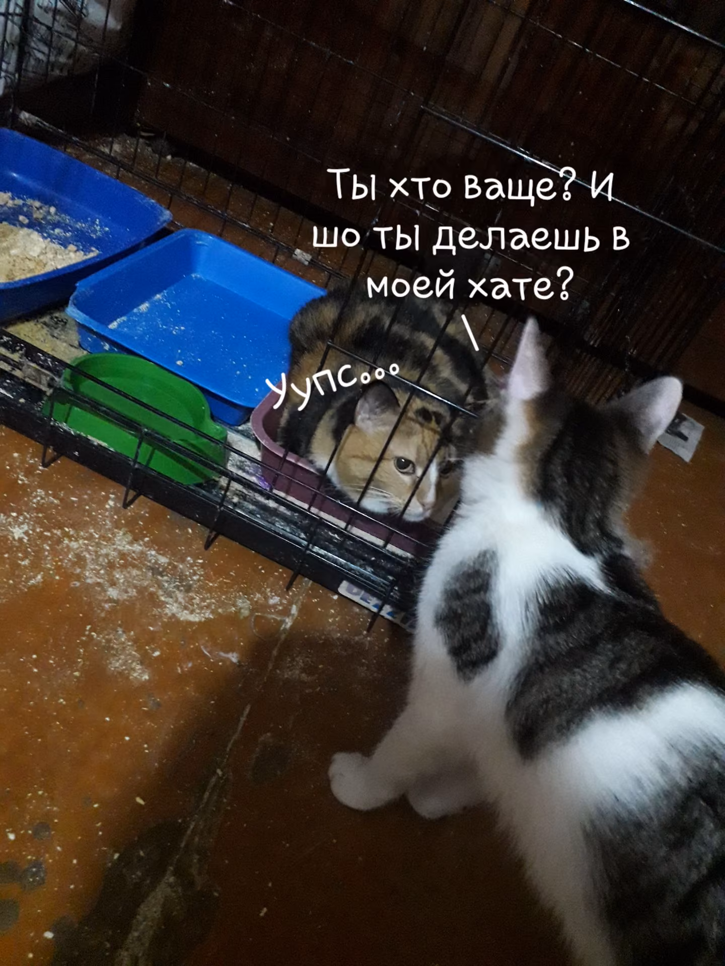 b1e6b85b0471a7aab494bf93944cf37c.avif