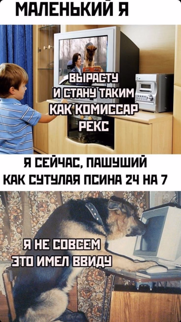 b1fb48483538506e4b24d9d1452eca09.avif