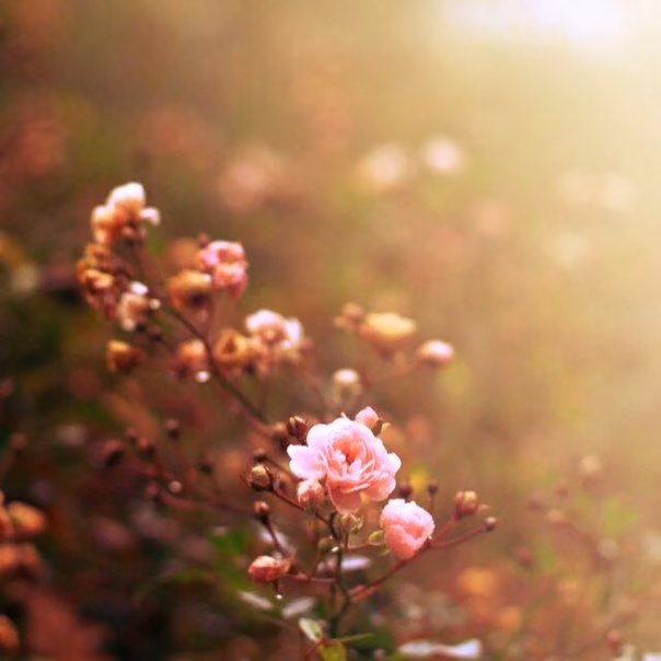 b1fc3d0f8347e754c738aa9814afd8db.jpg