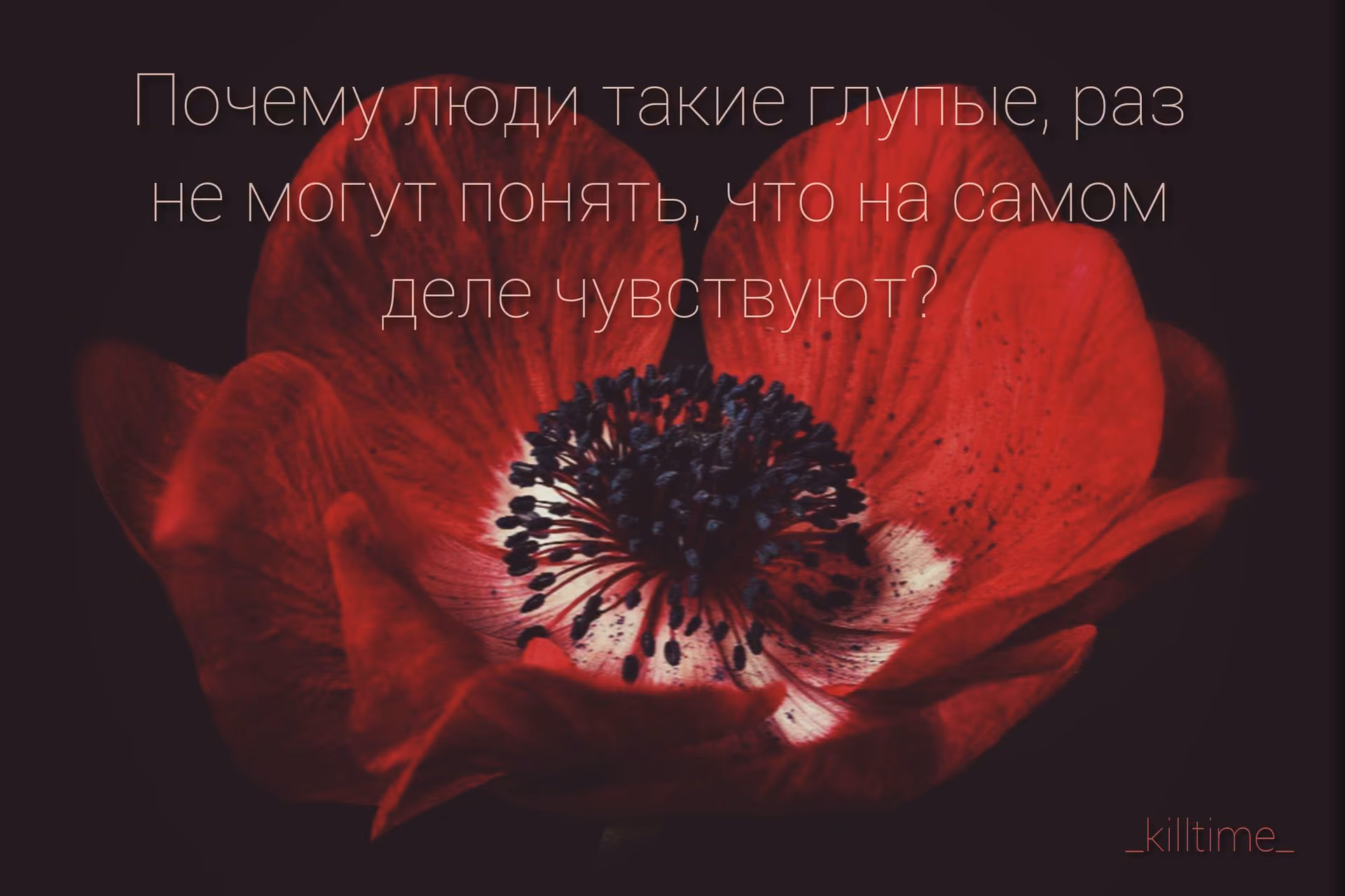 b1fc76a3ae8ce6ab43159d04e6605770.jpg